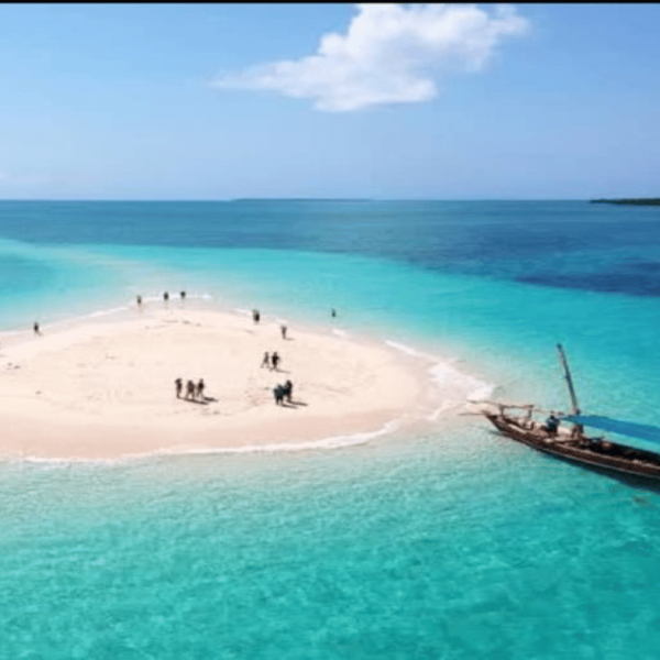 Unveiling the Natural Wonders of Zanzibar: Safari Blue Tour Highlights