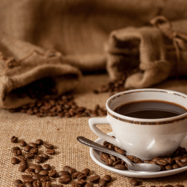 Costa Rican Coffee Odyssey: From Blossom to Brew, Crafting Excellence