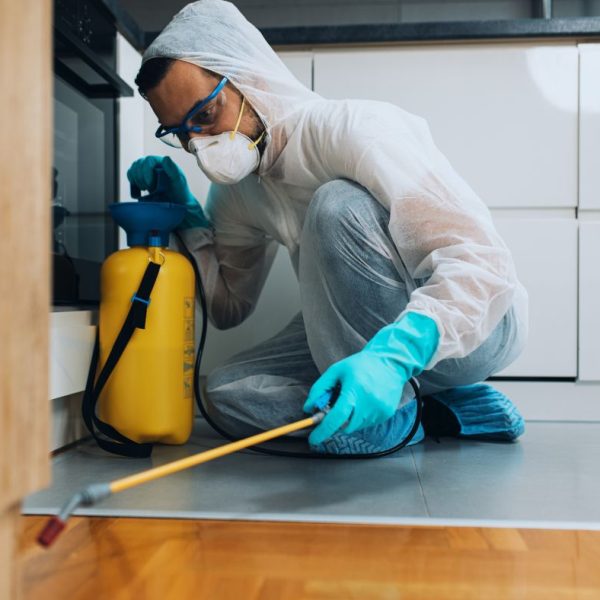 How Delaware Pest Control Services Can Transform Your Home