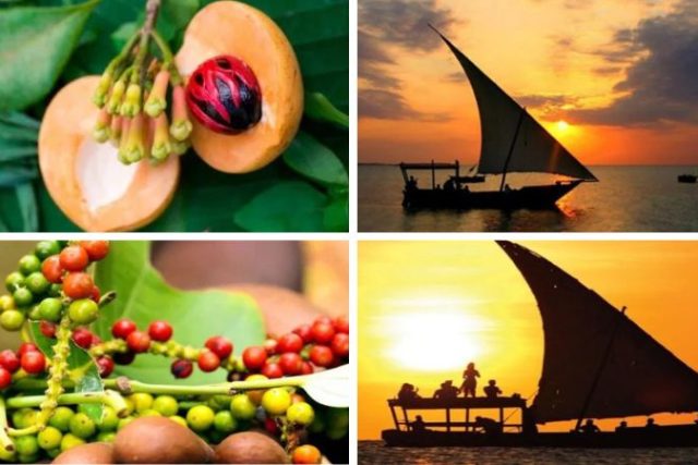 From Spice Farms to Sunset Cruises: Unique Things to Do in Zanzibar
