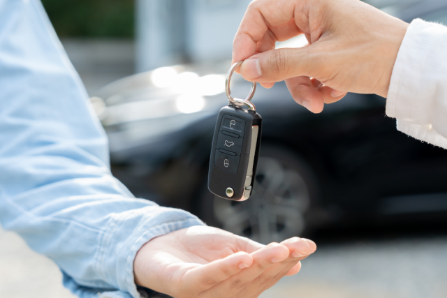 Why Private Car Rentals Are the Most Convenient Way to Travel Around Zanziba