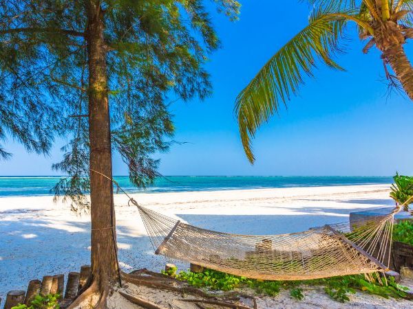 Top 10 Things to Do in Zanzibar for First-Time Visitors