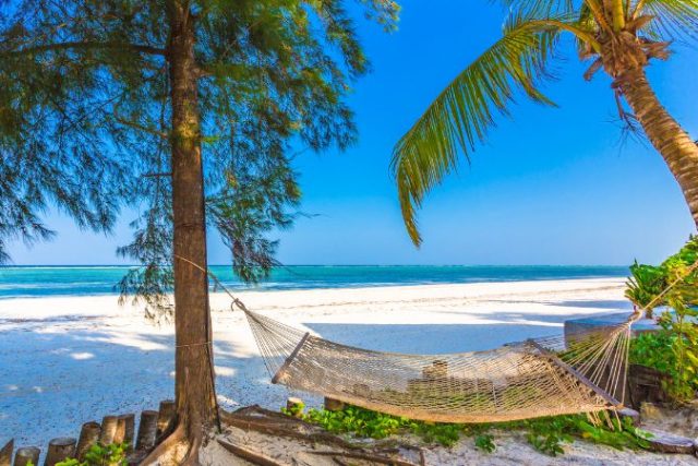 Top 10 Things to Do in Zanzibar for First-Time Visitors